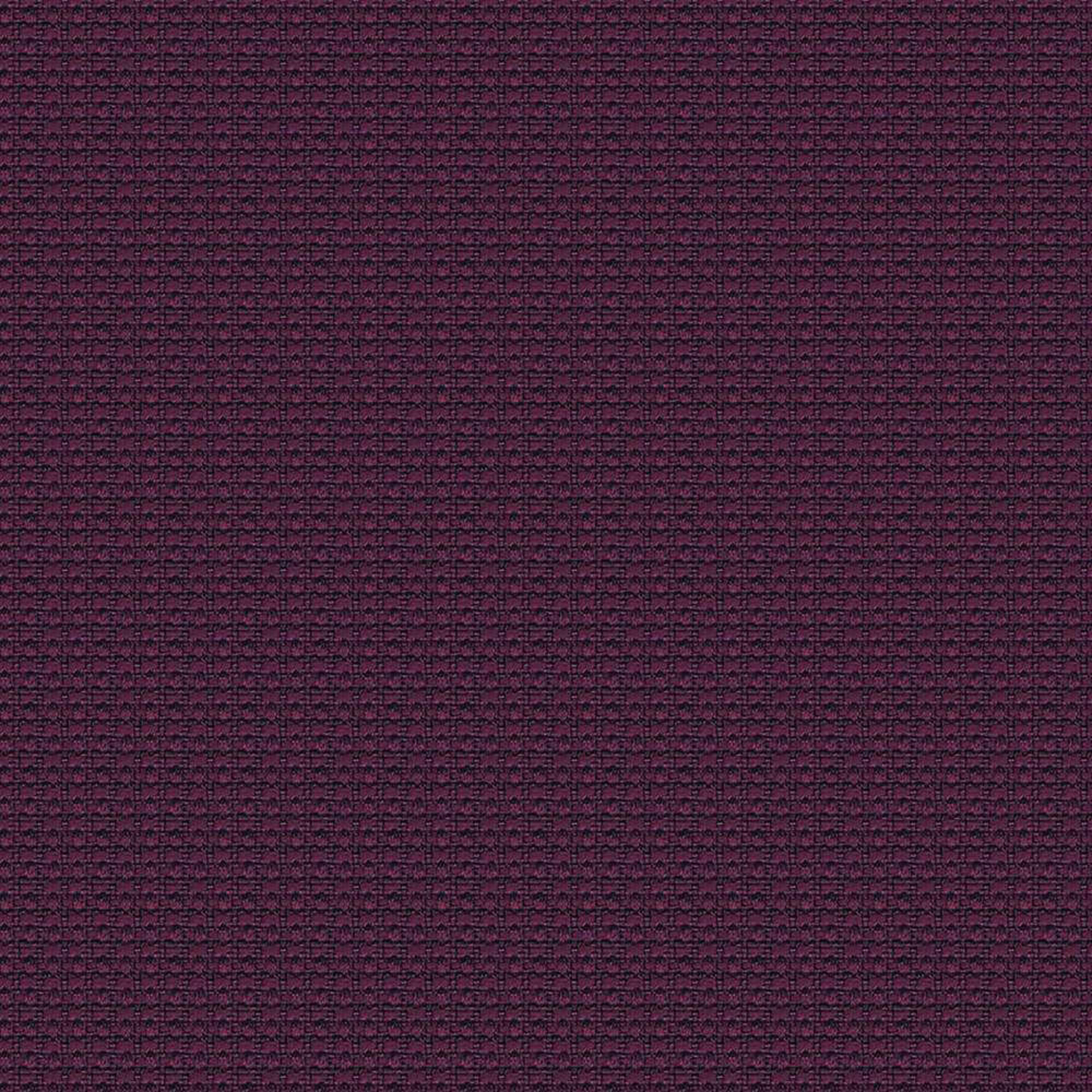 YI204_WEB