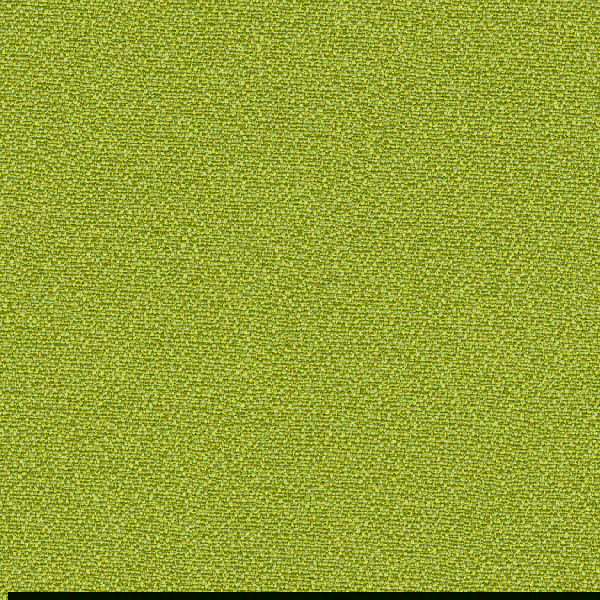 Camira Lucia CS Tenom (LC419)