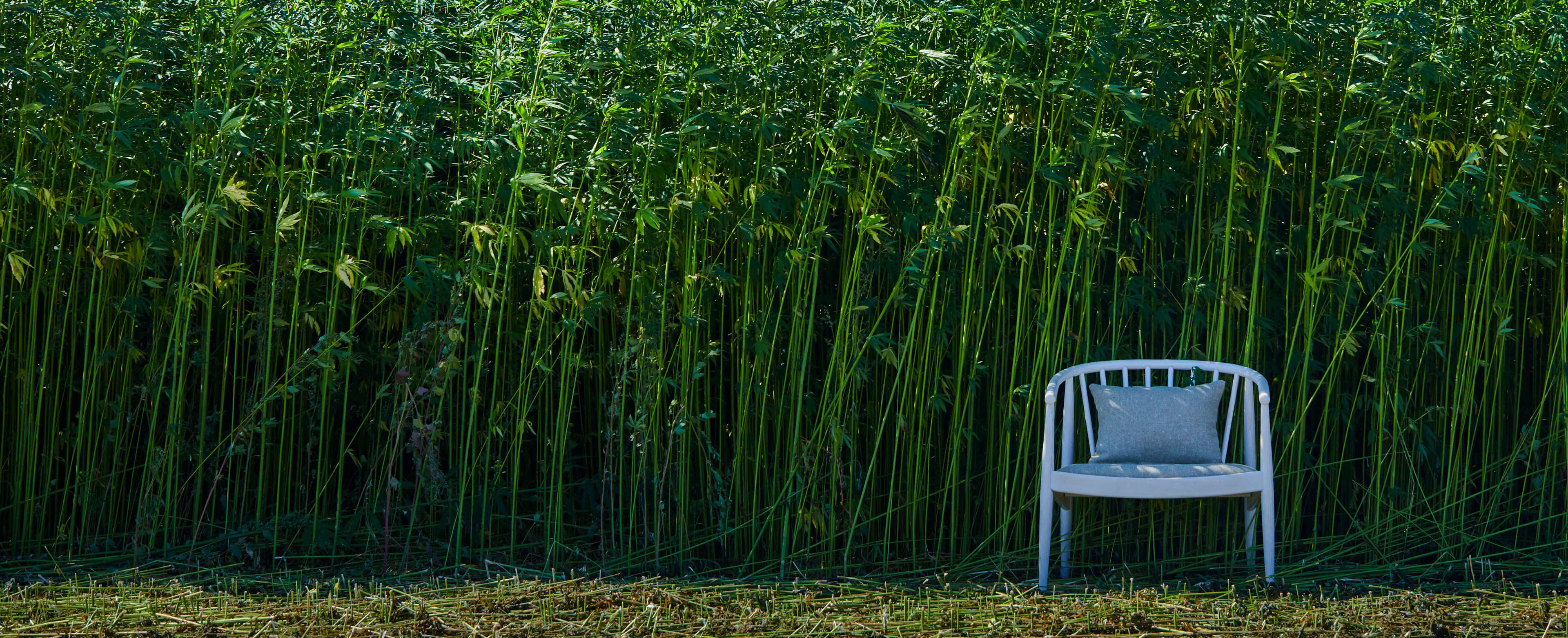 Hemp Chair Hero