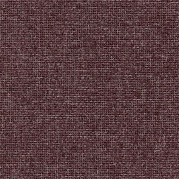 Camira Cara Lossie (EJ197)