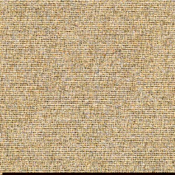 Camira Cara Austen (EJ173)