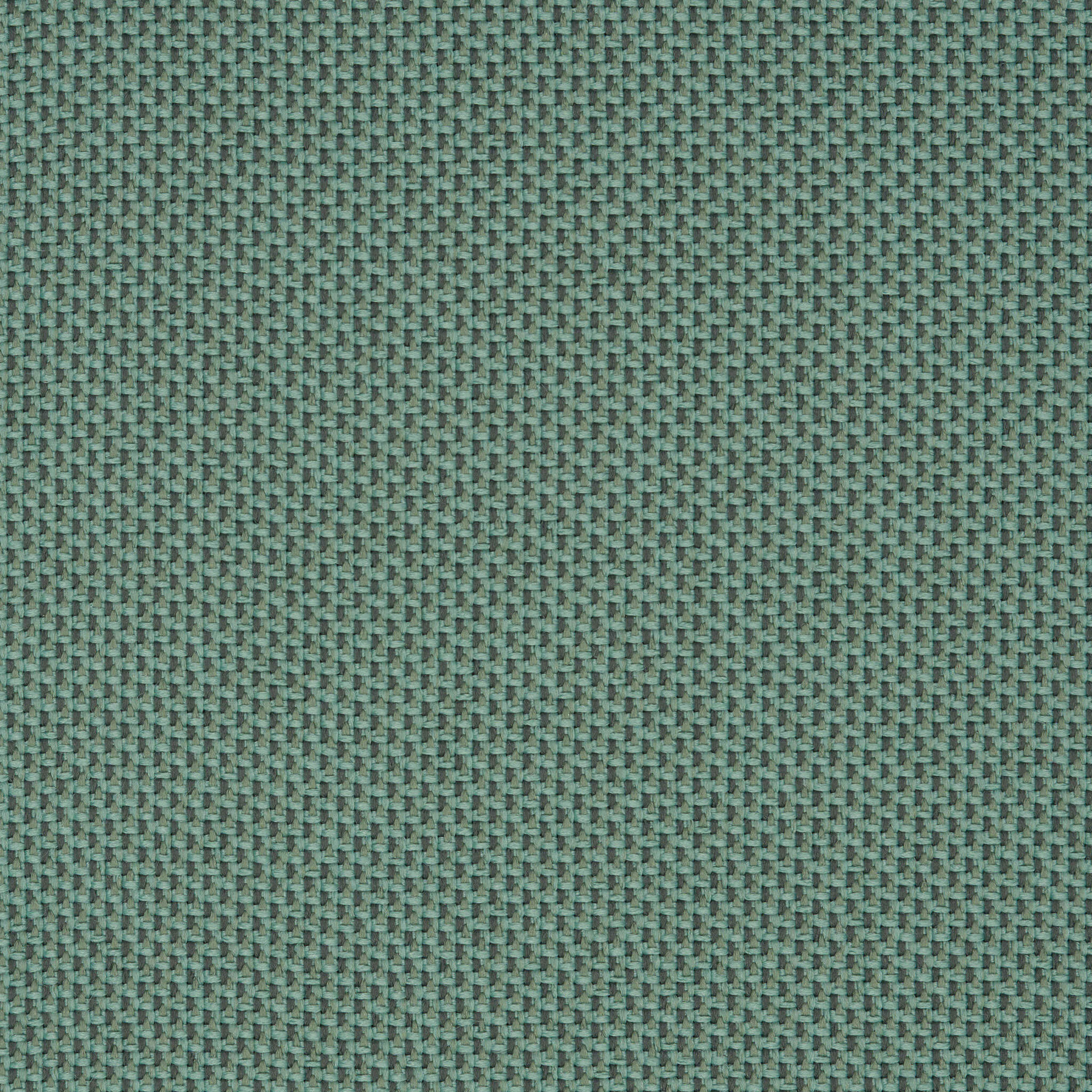 Camira_REP07 Camira_REP07
