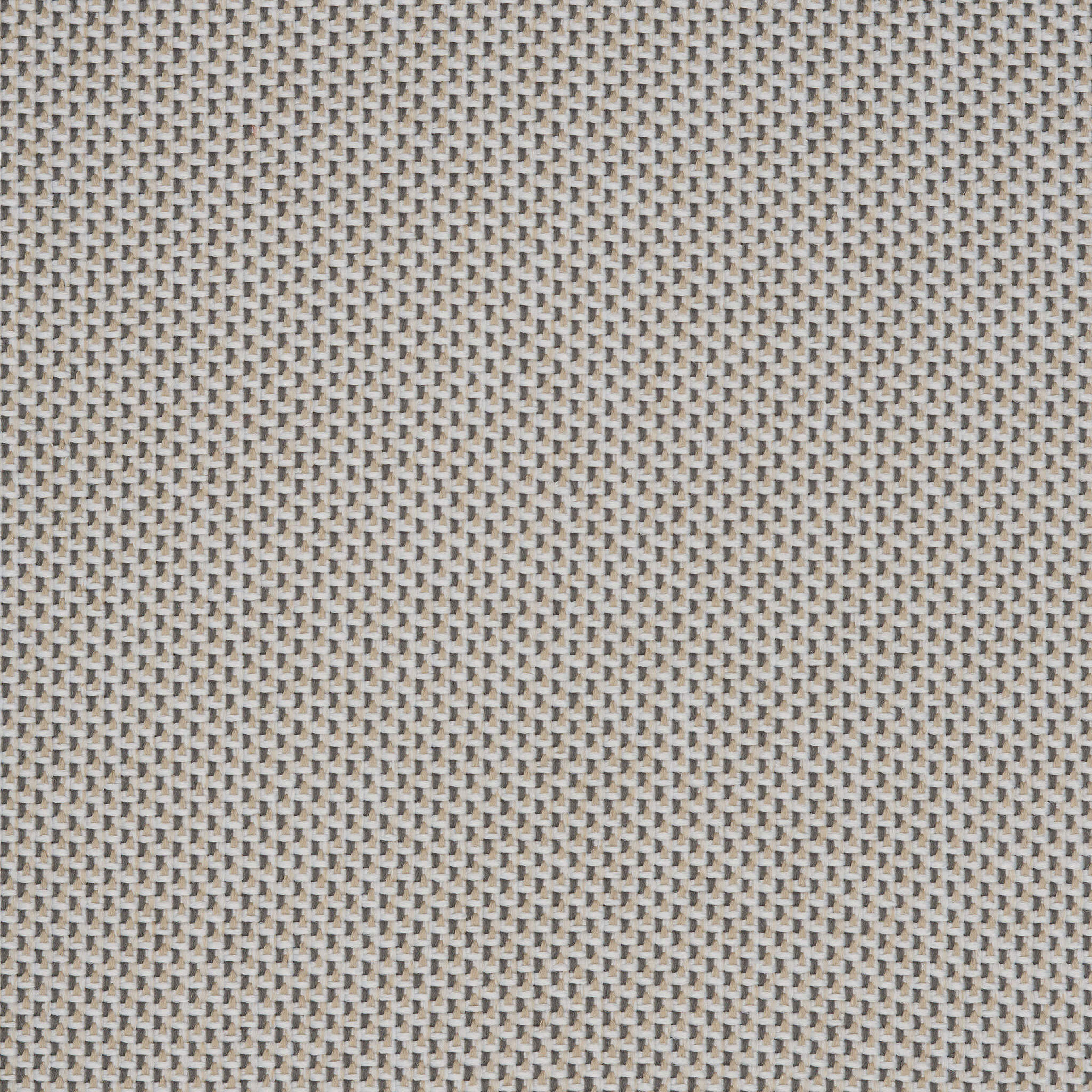 Camira_REP13 Camira_REP13
