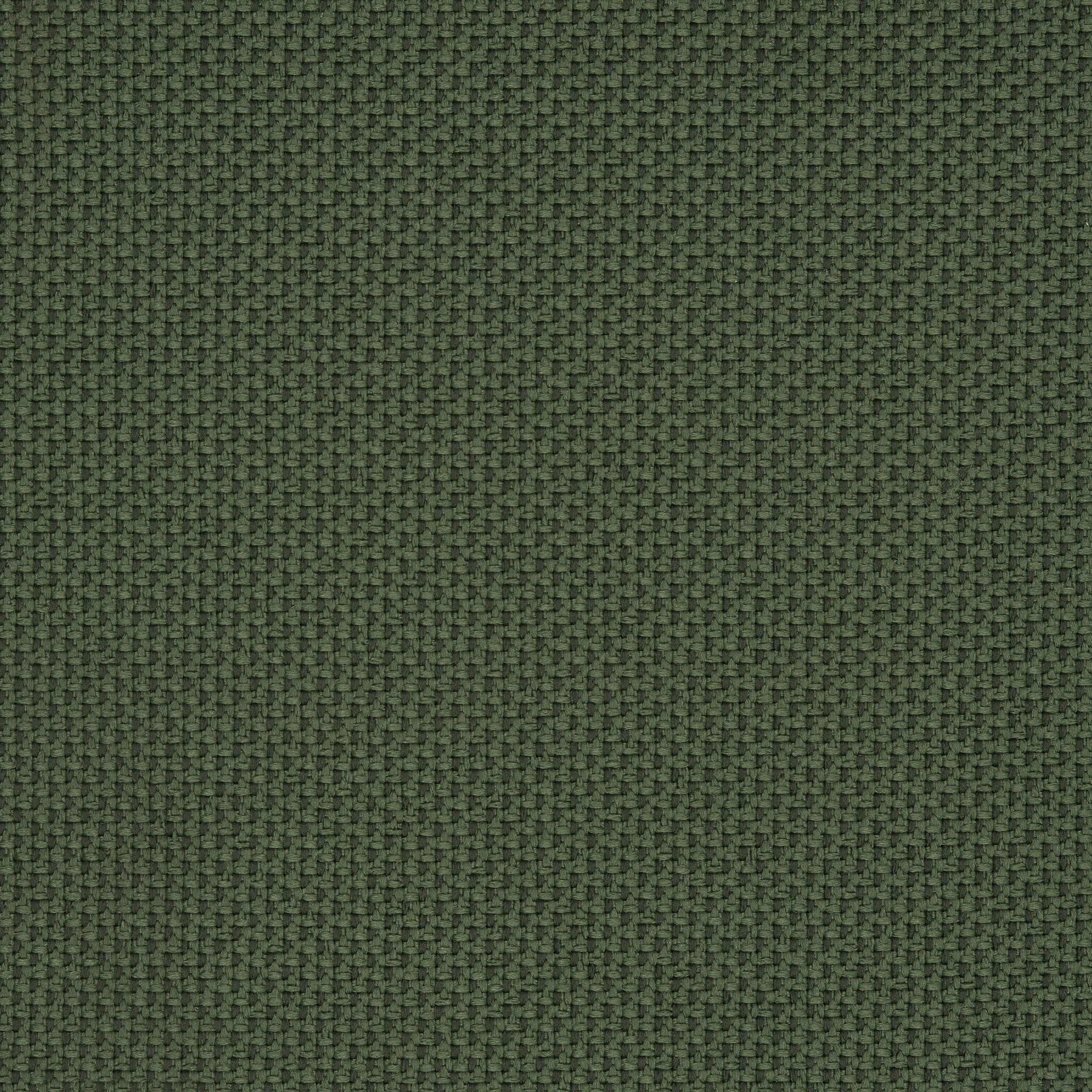 Camira_REP11 Camira_REP11