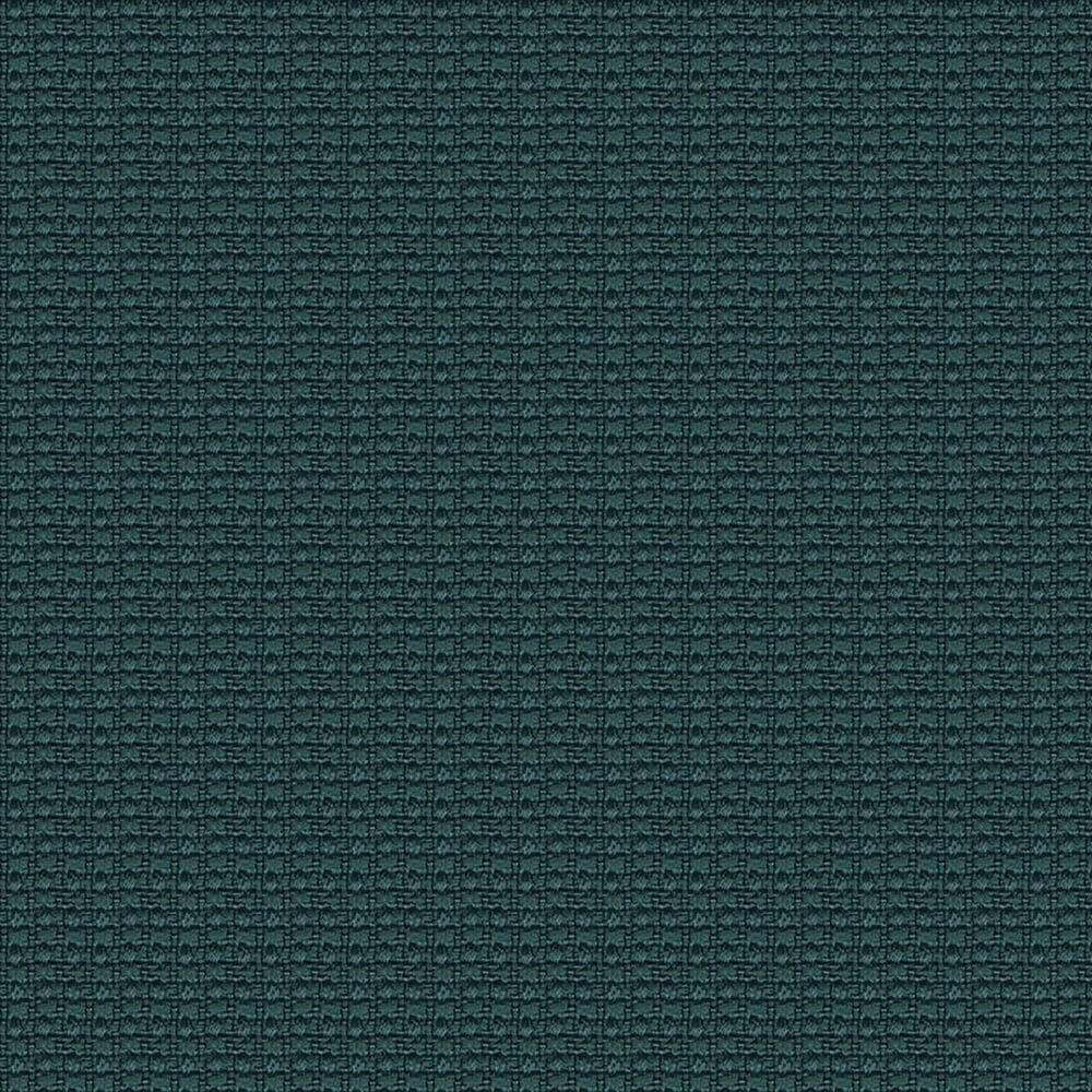 YI384_WEB