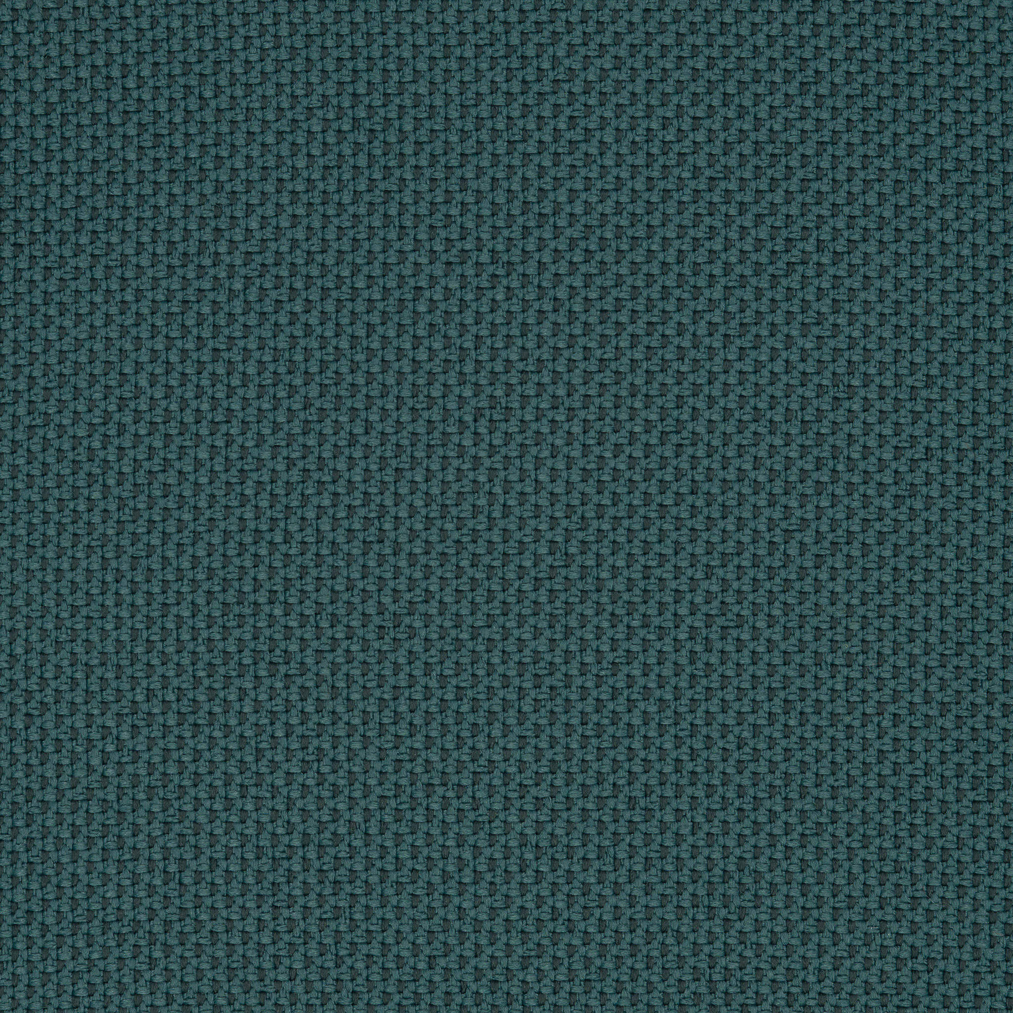 Camira_REP08 Camira_REP08