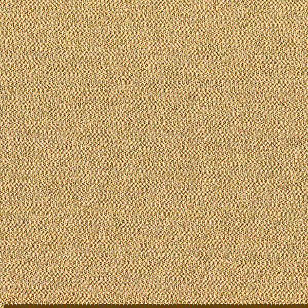 Camira Era Splitsecond (CSE31)