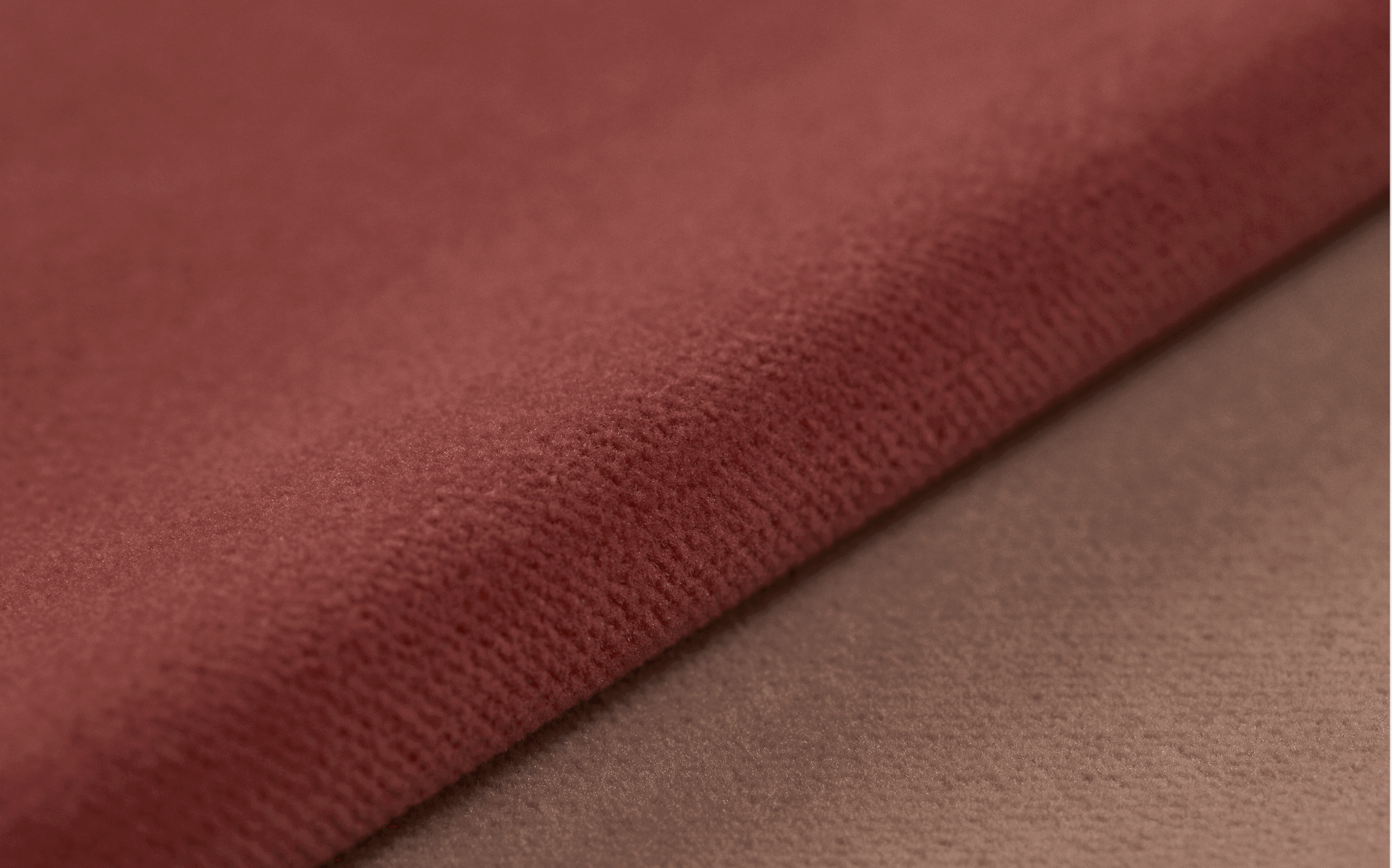 Regent Header Regent Header