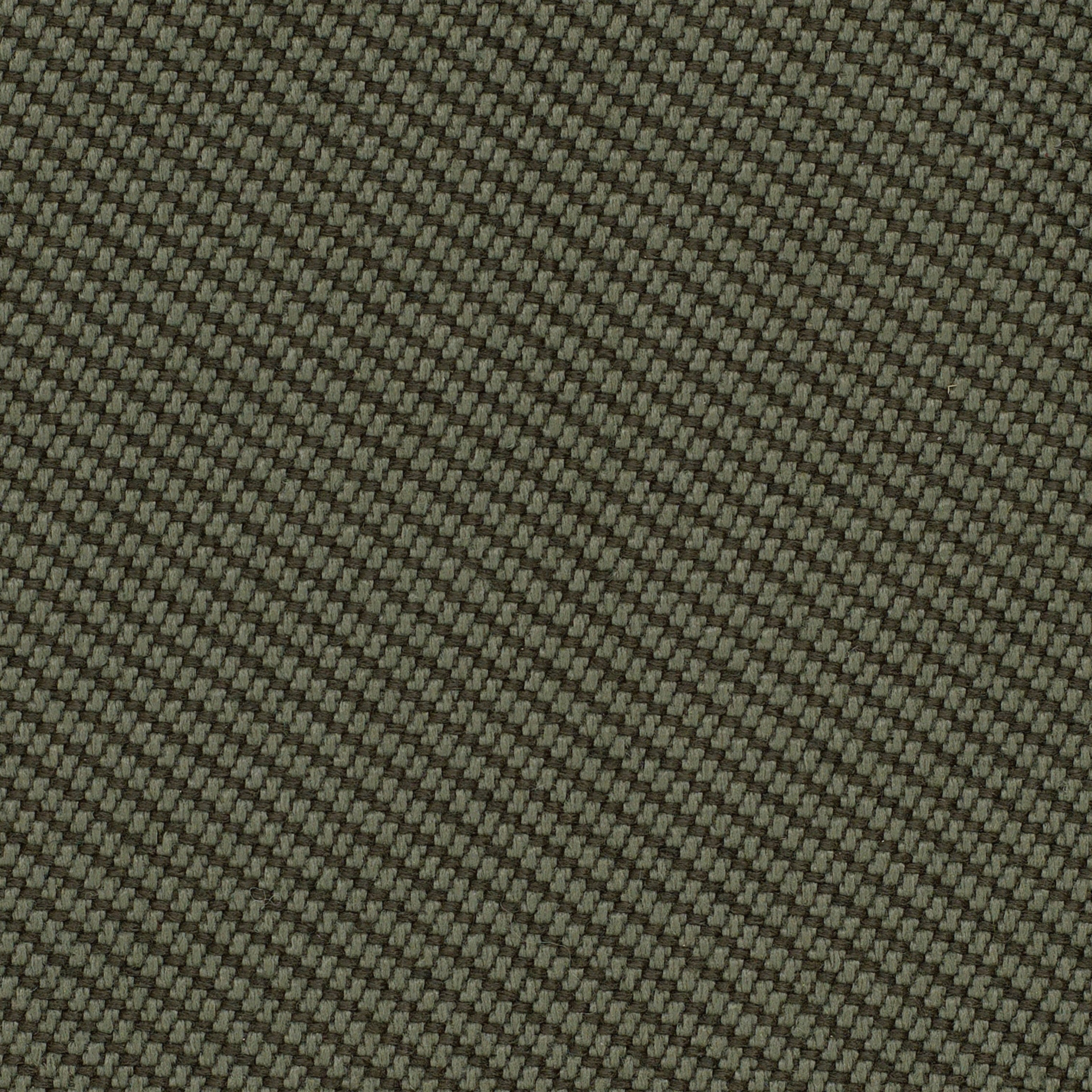 OOC19 Nori OOC19 Nori