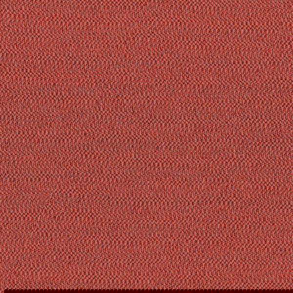 Camira Era Experience (CSE29)