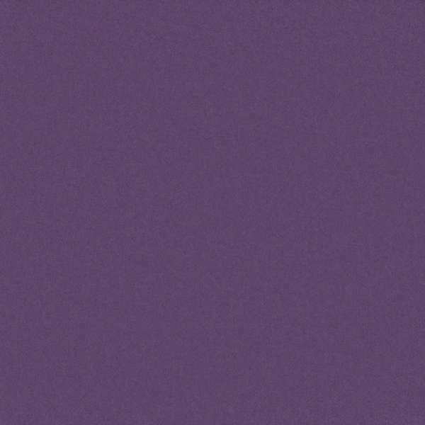 Camira Blazer Moorlands (CUZ4T)