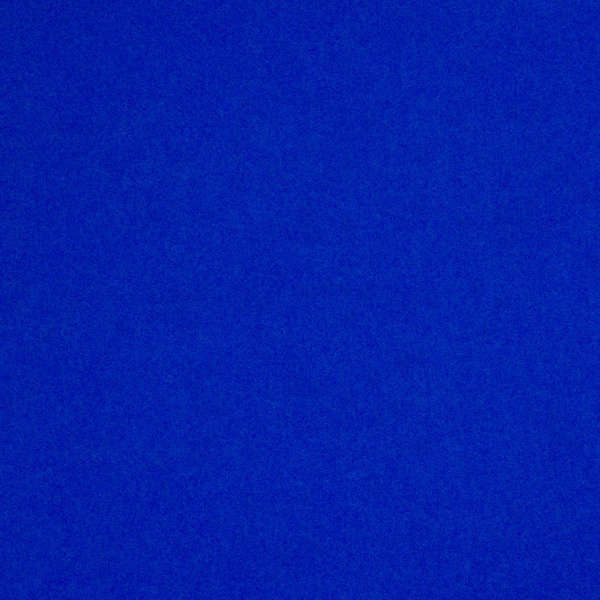 Camira Blazer Dundee (CUZ4P)