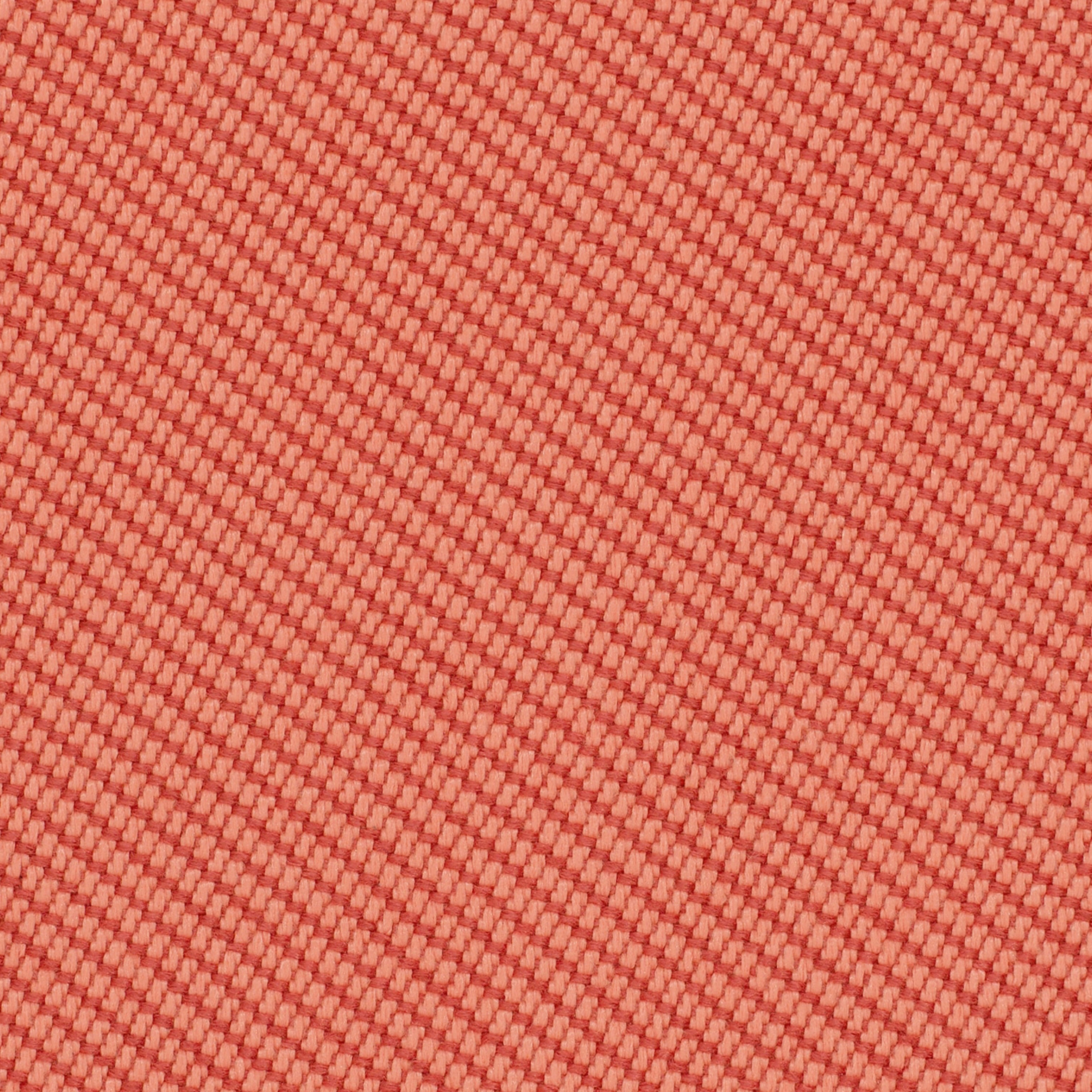 OOC05 Coral OOC05 Coral