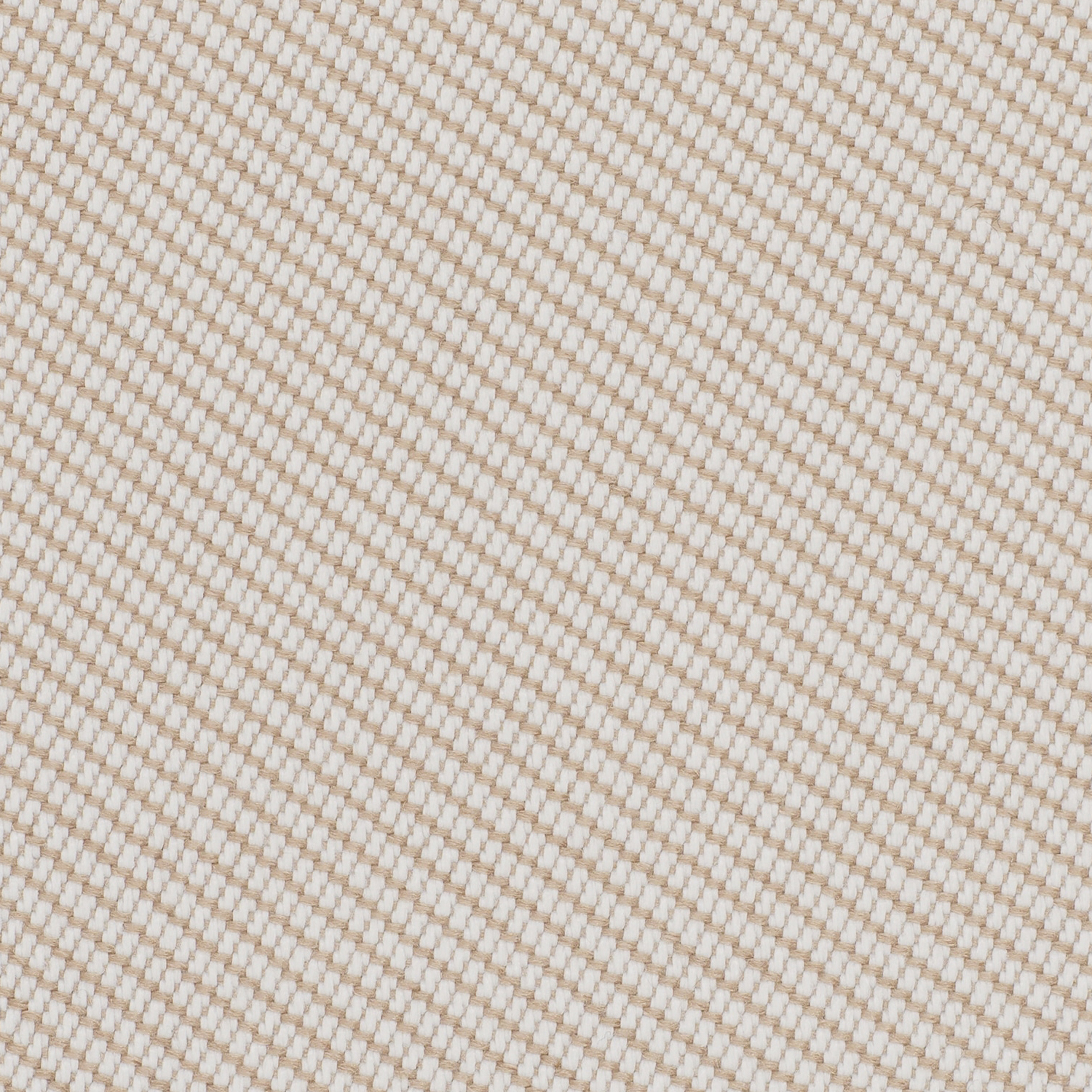 OOC23 Scallop OOC23 Scallop