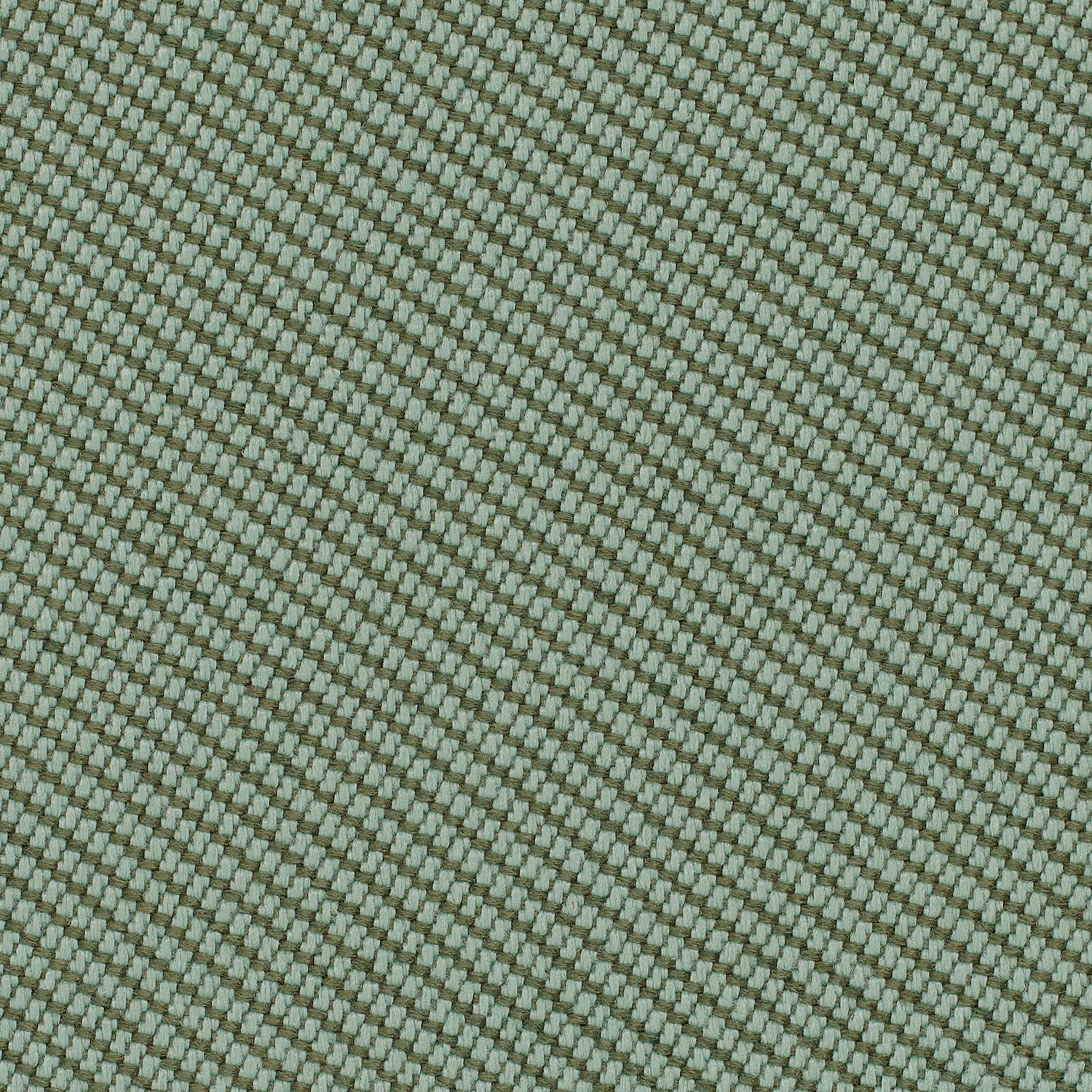 OOC24 Rockweed OOC24 Rockweed