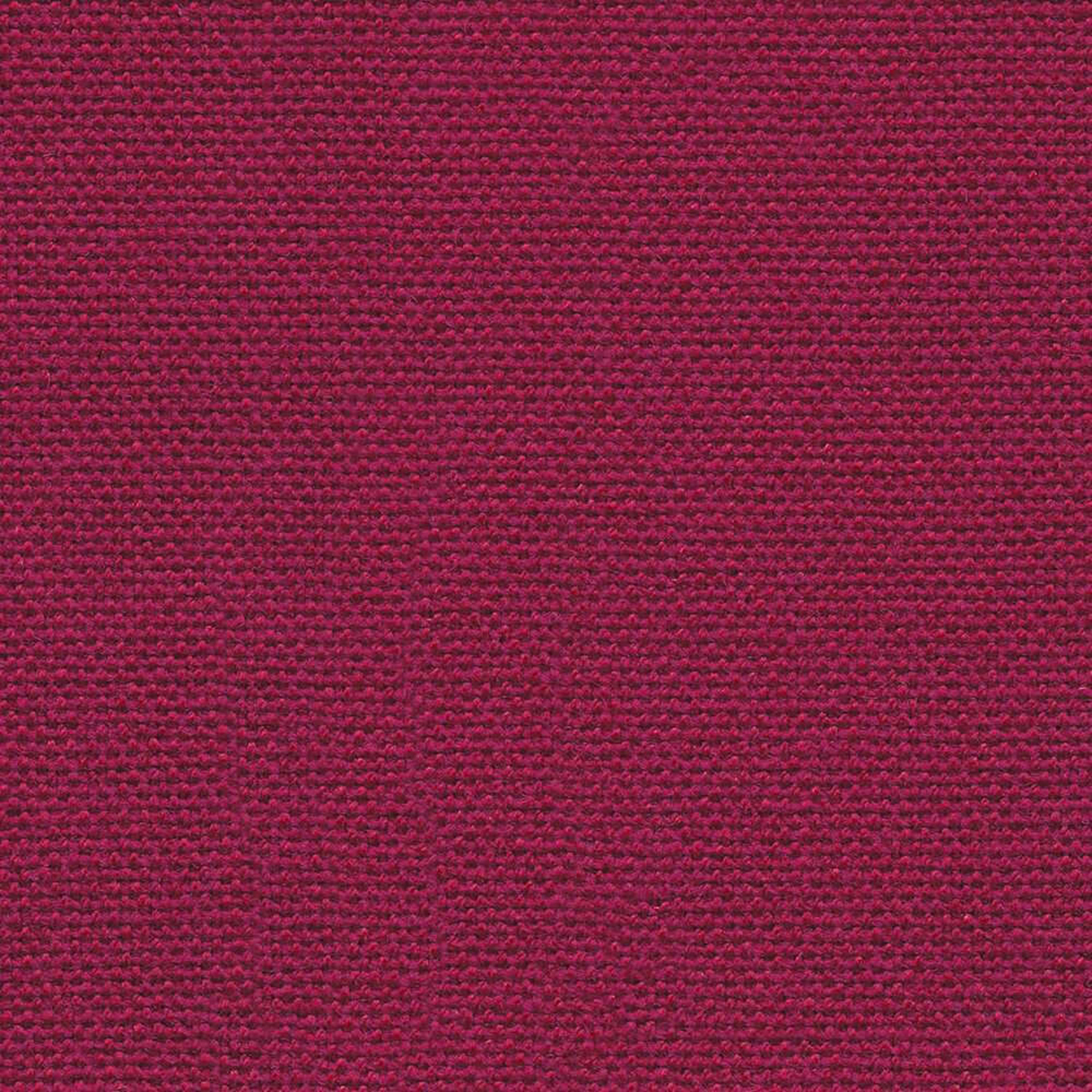 IF033_WEB