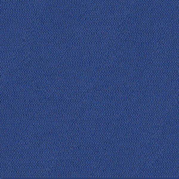 Camira Era Perennial (CSE12)