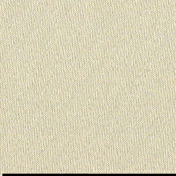 Camira Era Transition (CSE30)