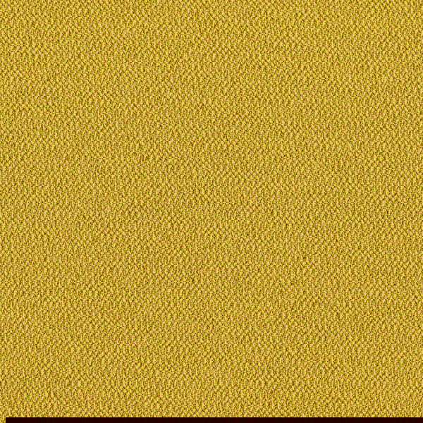 Camira Era Occasion (CSE32)