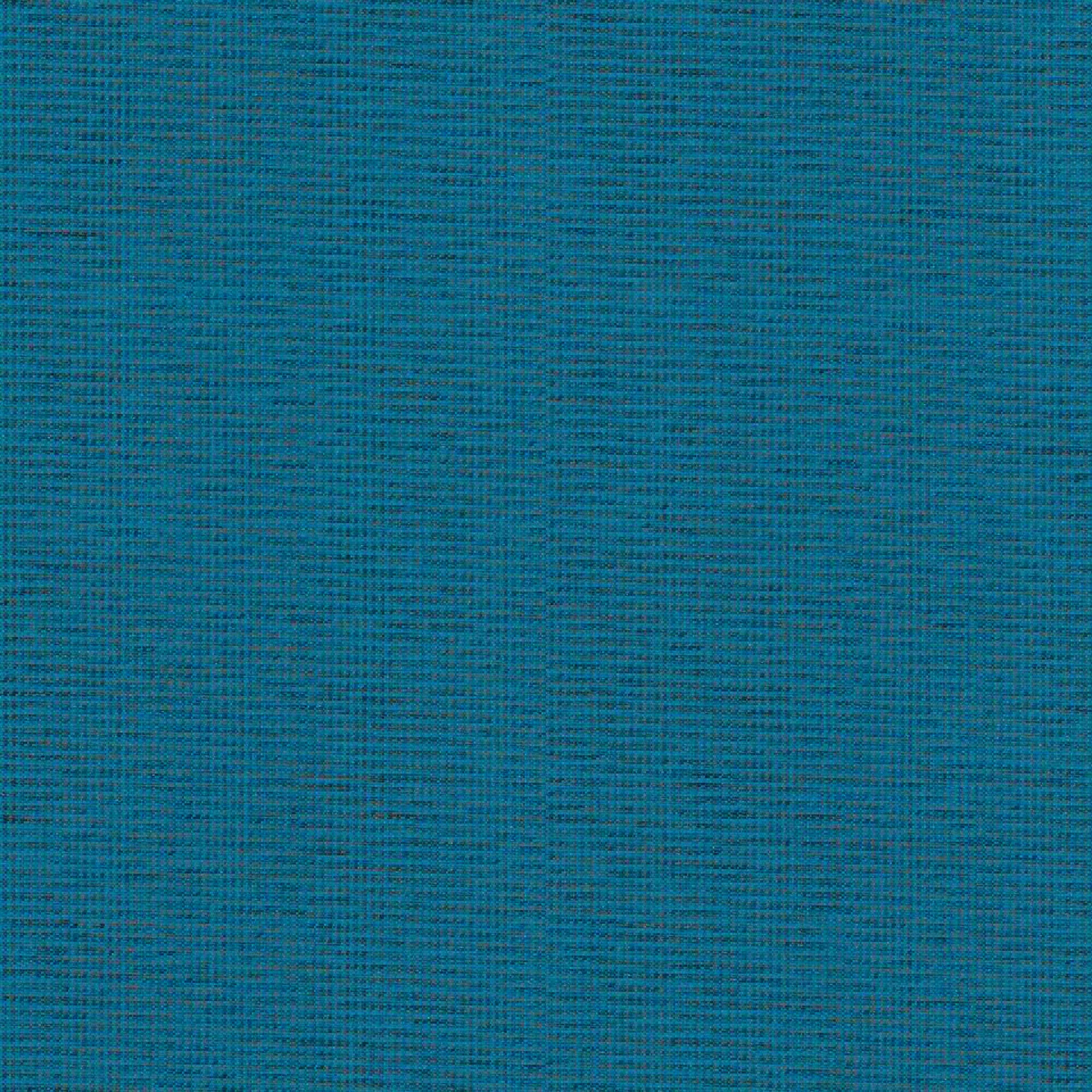 HPC06_WEB