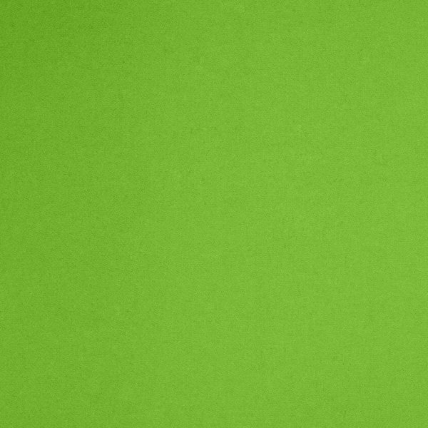 Camira Blazer Newport (CUZ1L)