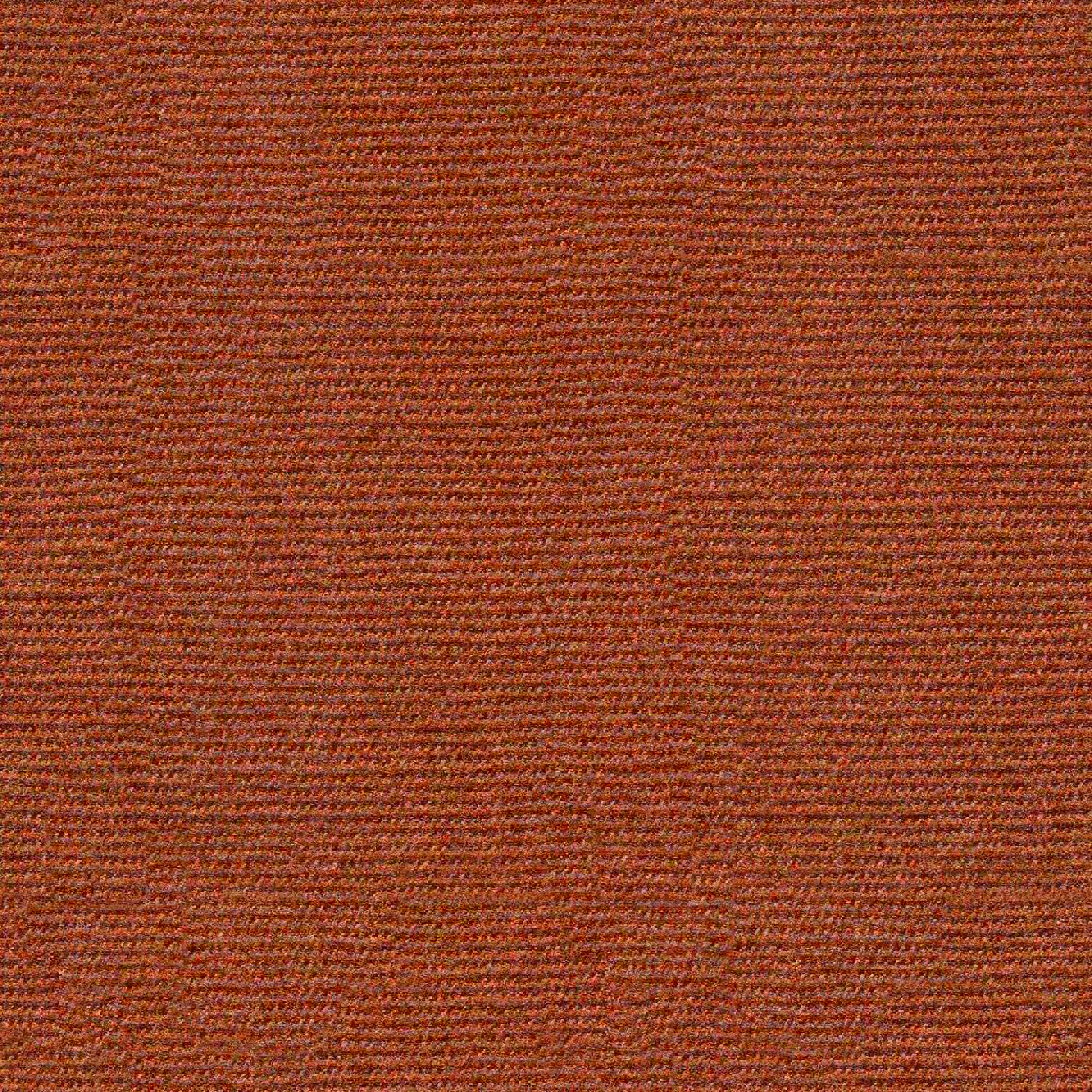 IF142_WEB