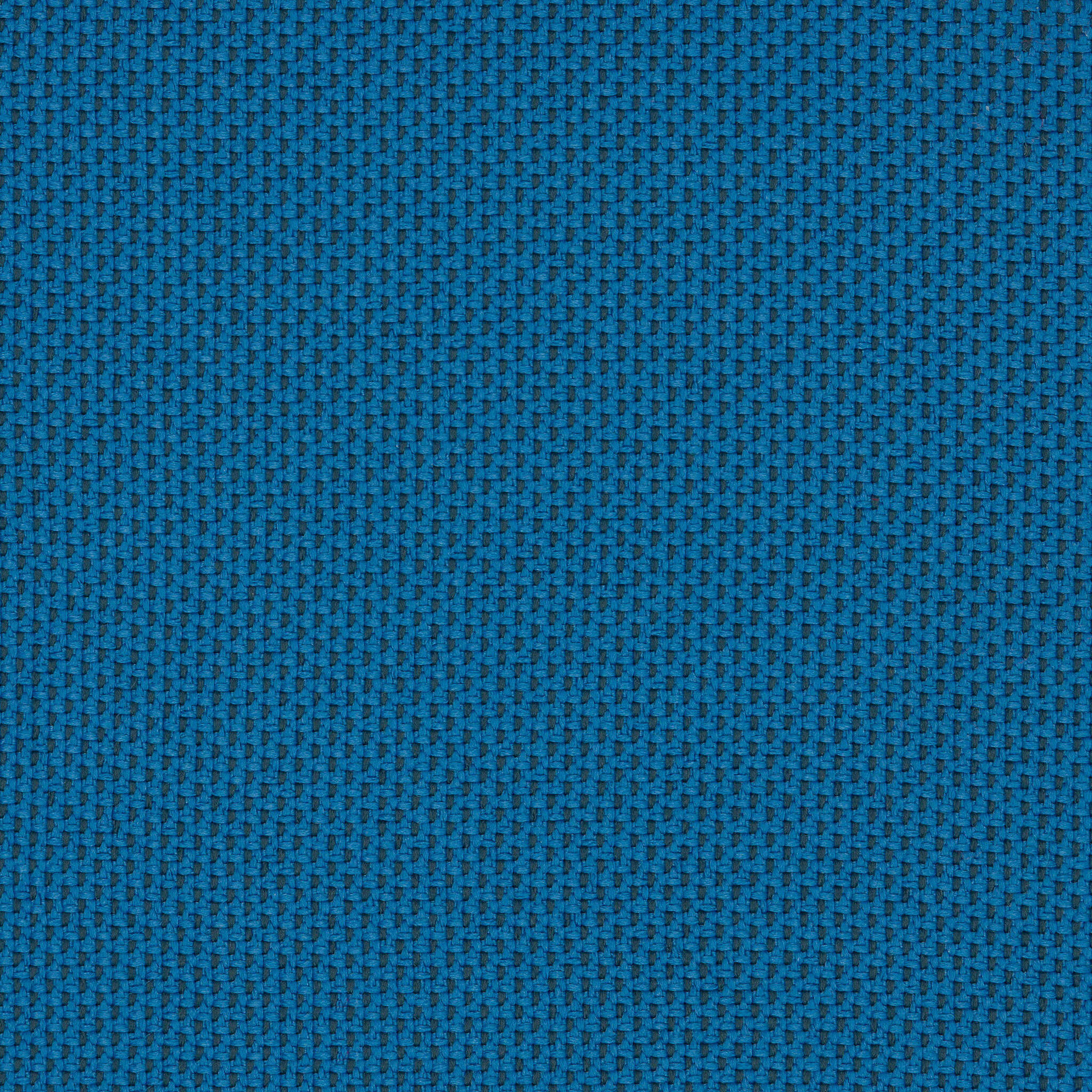 Camira_REP04 Camira_REP04