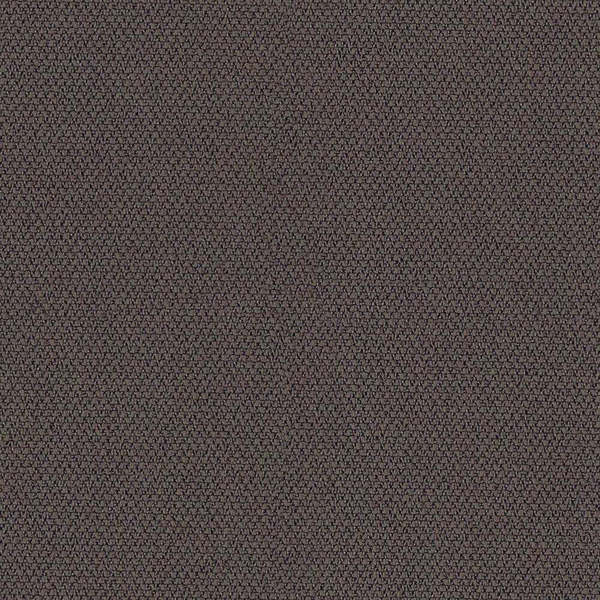 Camira Era History (CSE21)