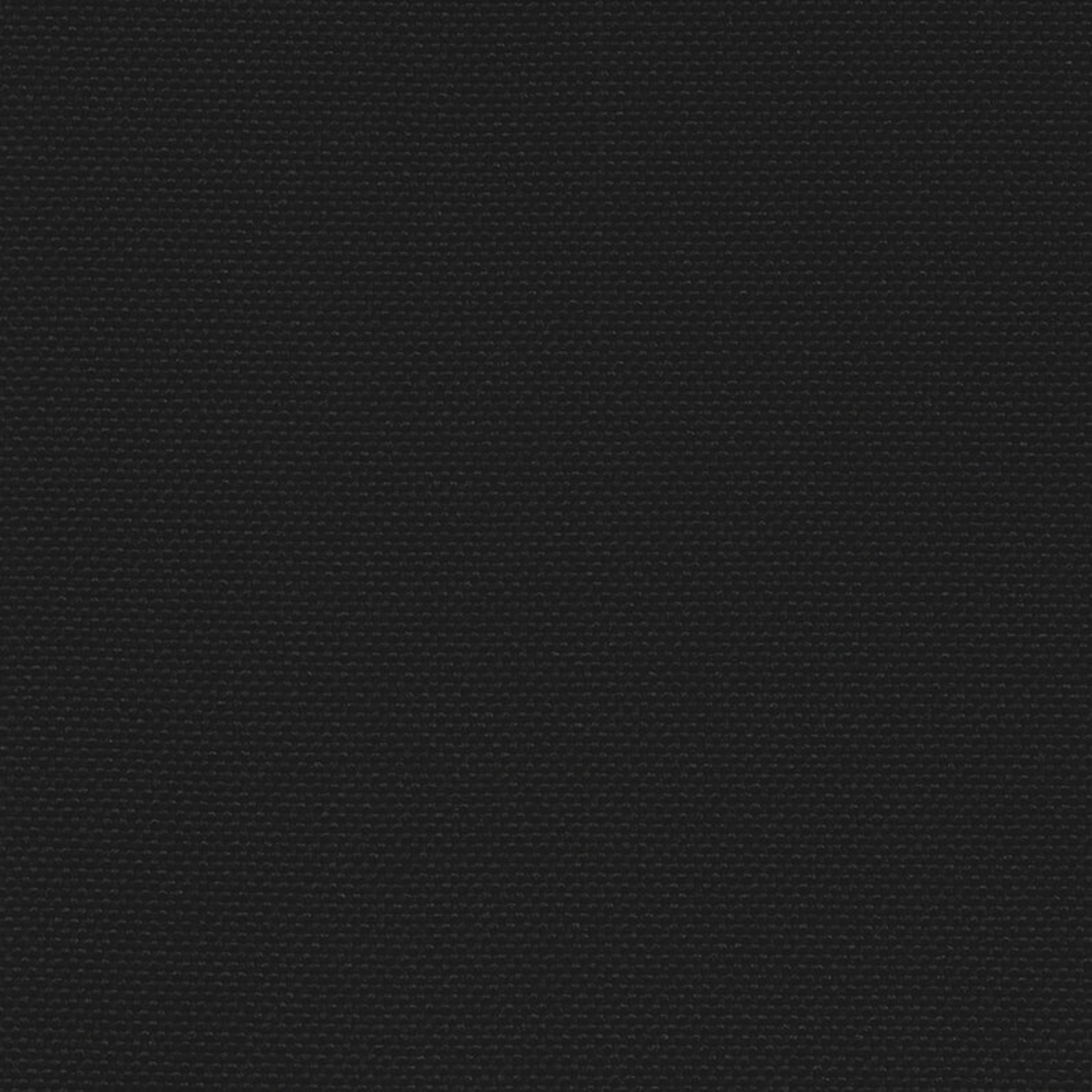 QUE01_WEB