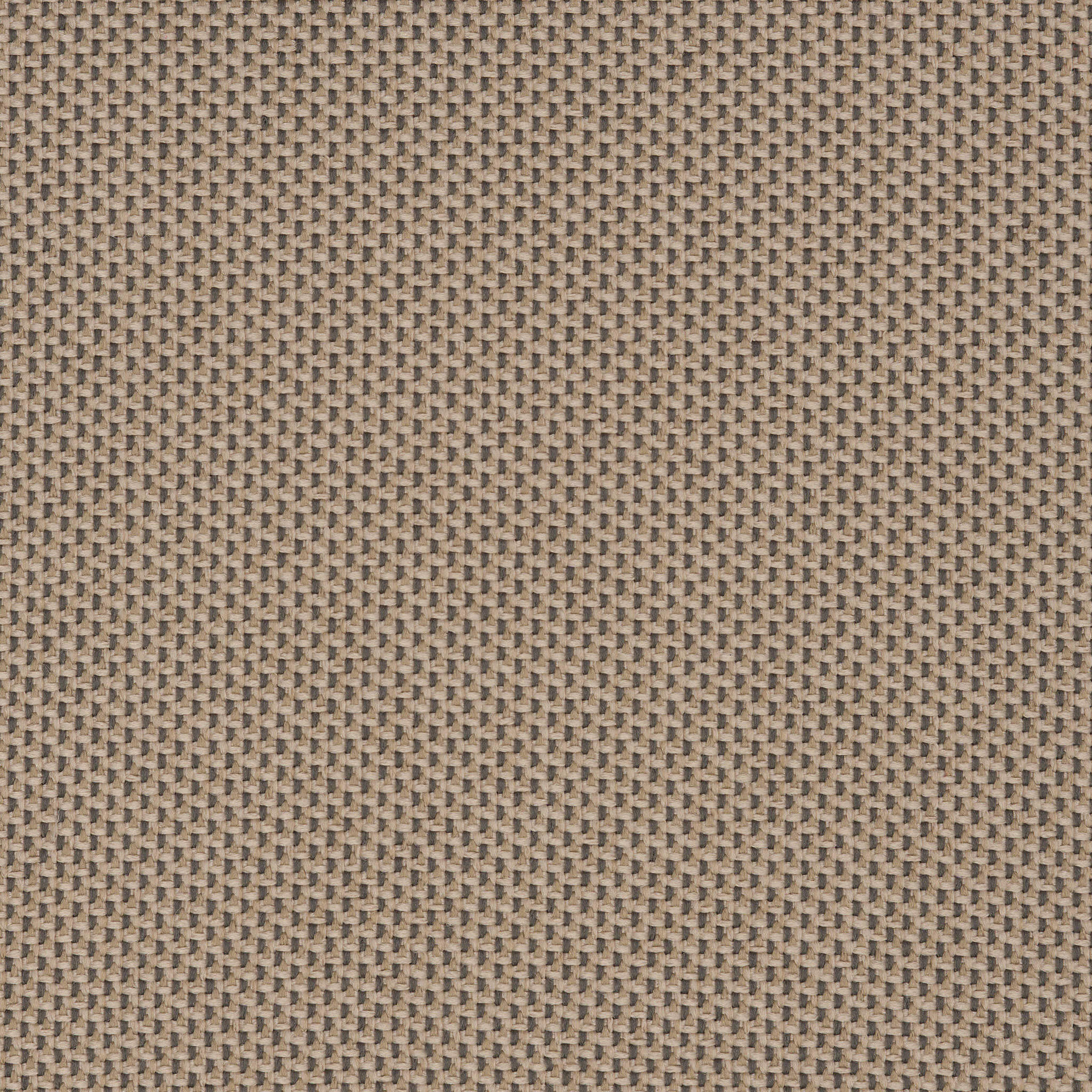 Camira_REP14 Camira_REP14