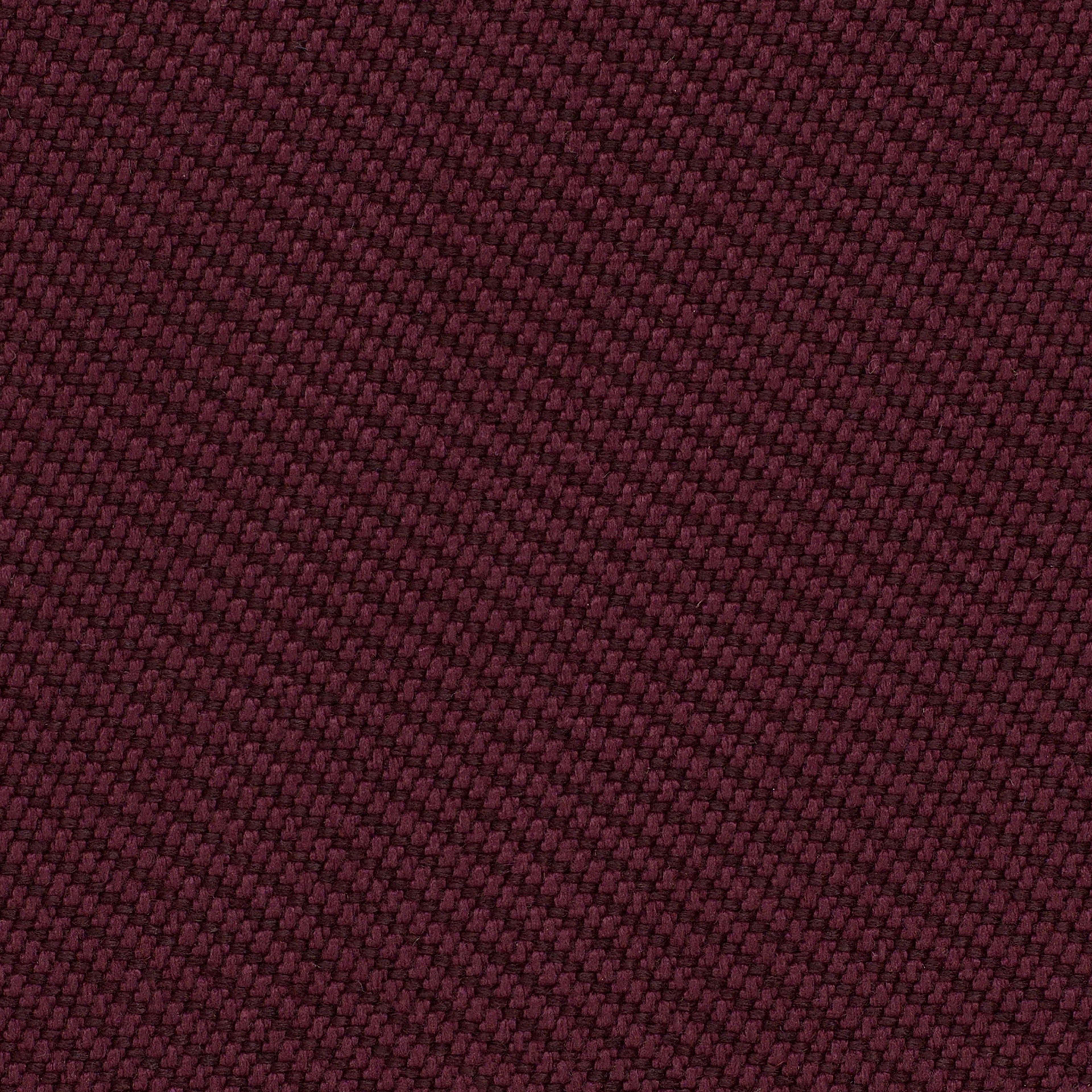 OOC18 Clam OOC18 Clam