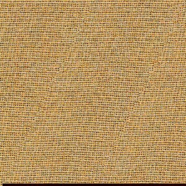 Camira Cara Maree (EJ195)