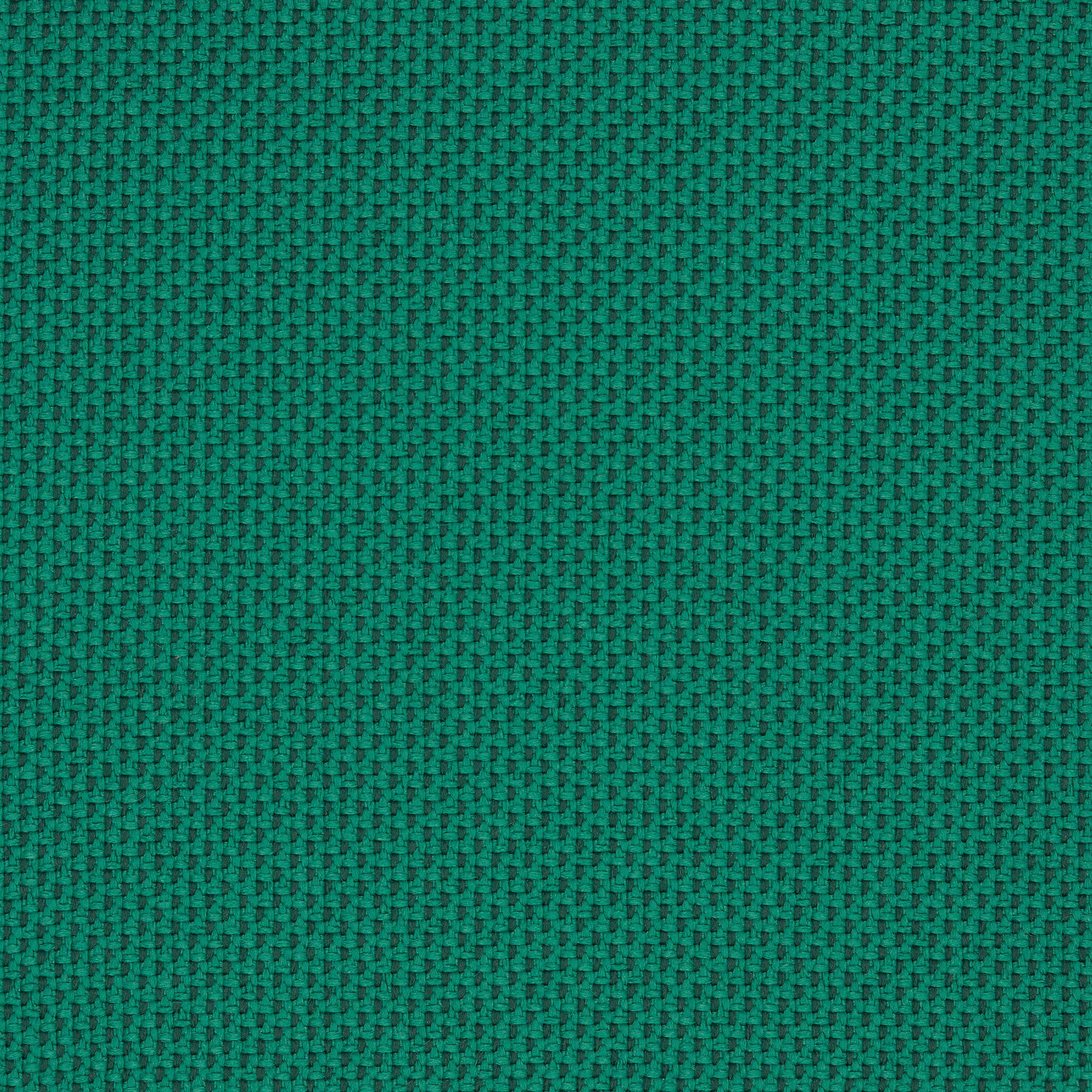 Camira_REP10 Camira_REP10