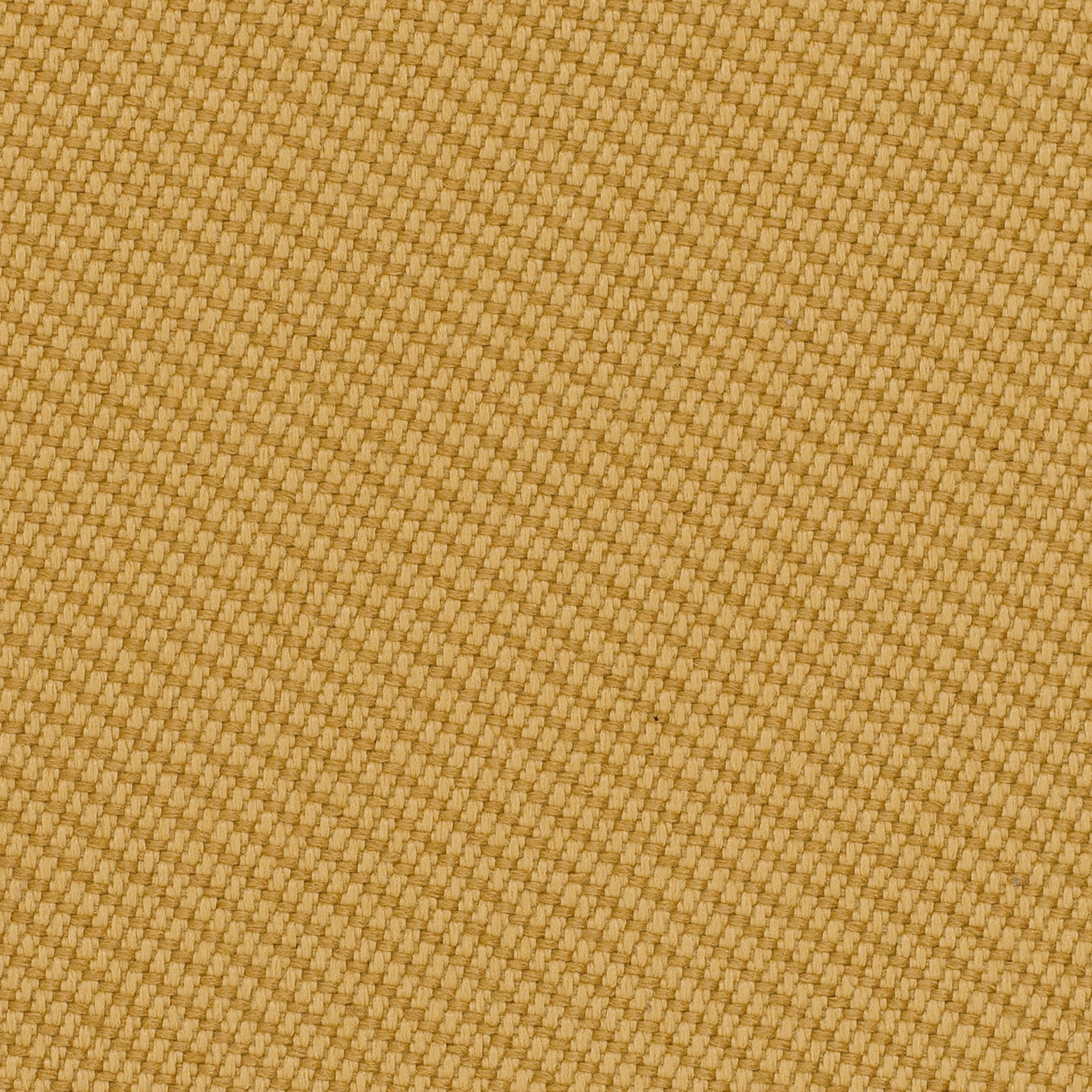 OOC30 Dune OOC30 Dune