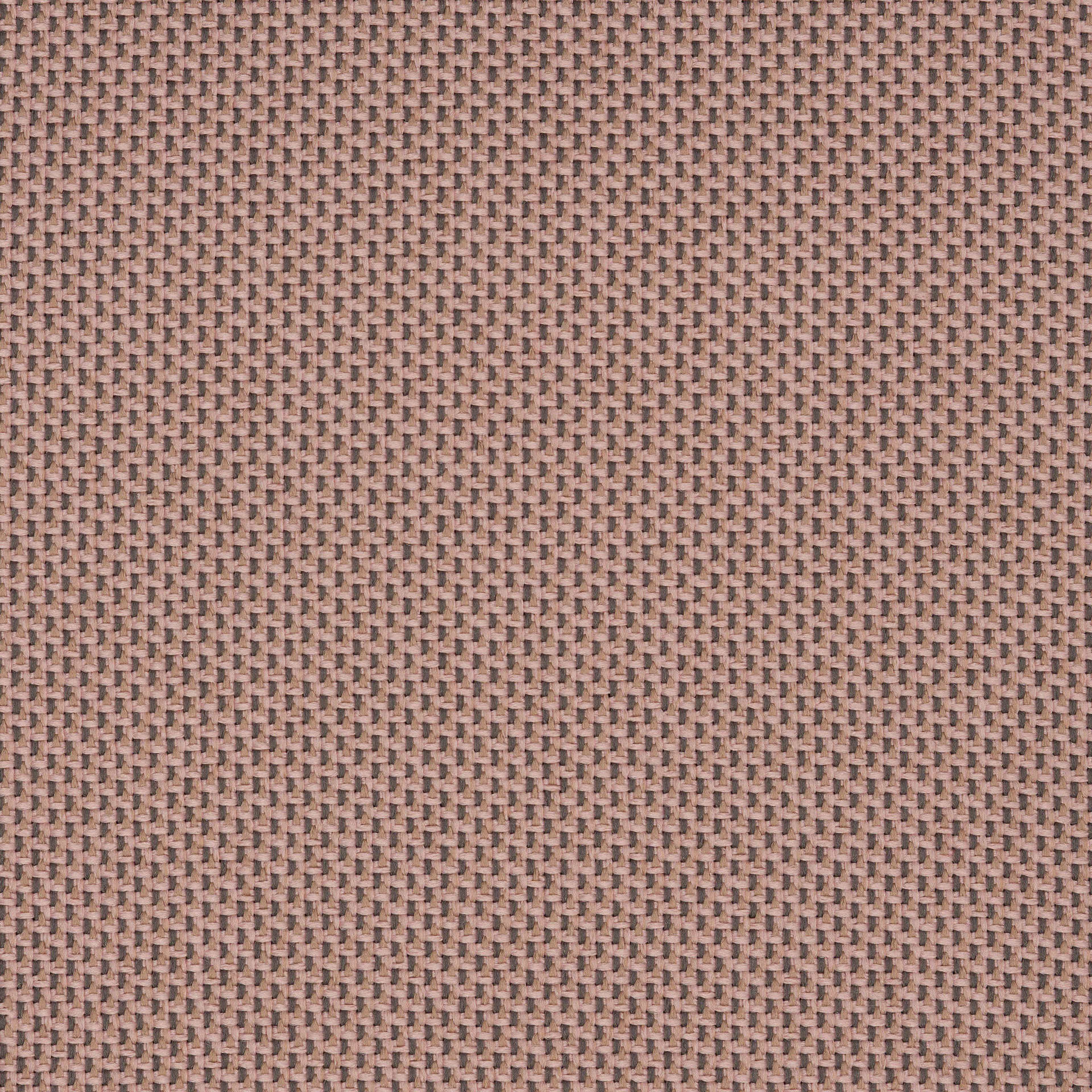 Camira_REP15 Camira_REP15