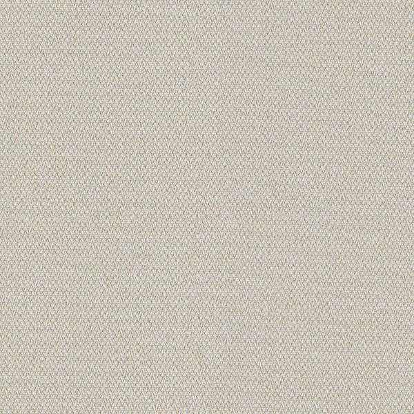 Camira Era Futurist (CSE01)