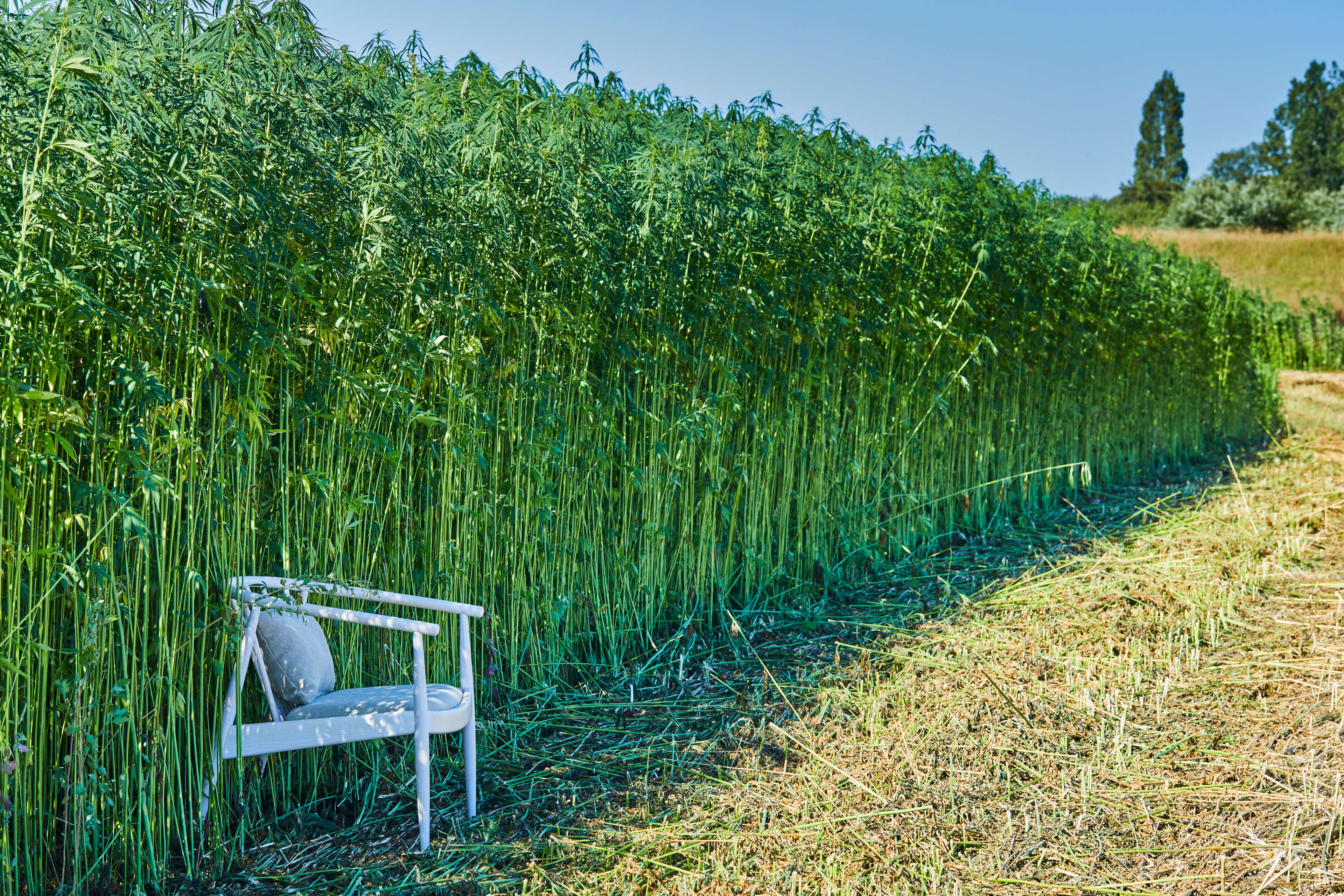 Hemp Chair Landscape 2