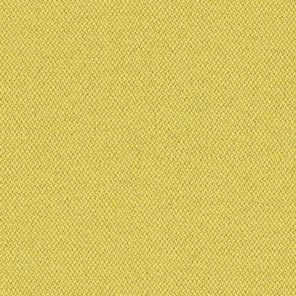 Camira Era Lifetime (CSE03)