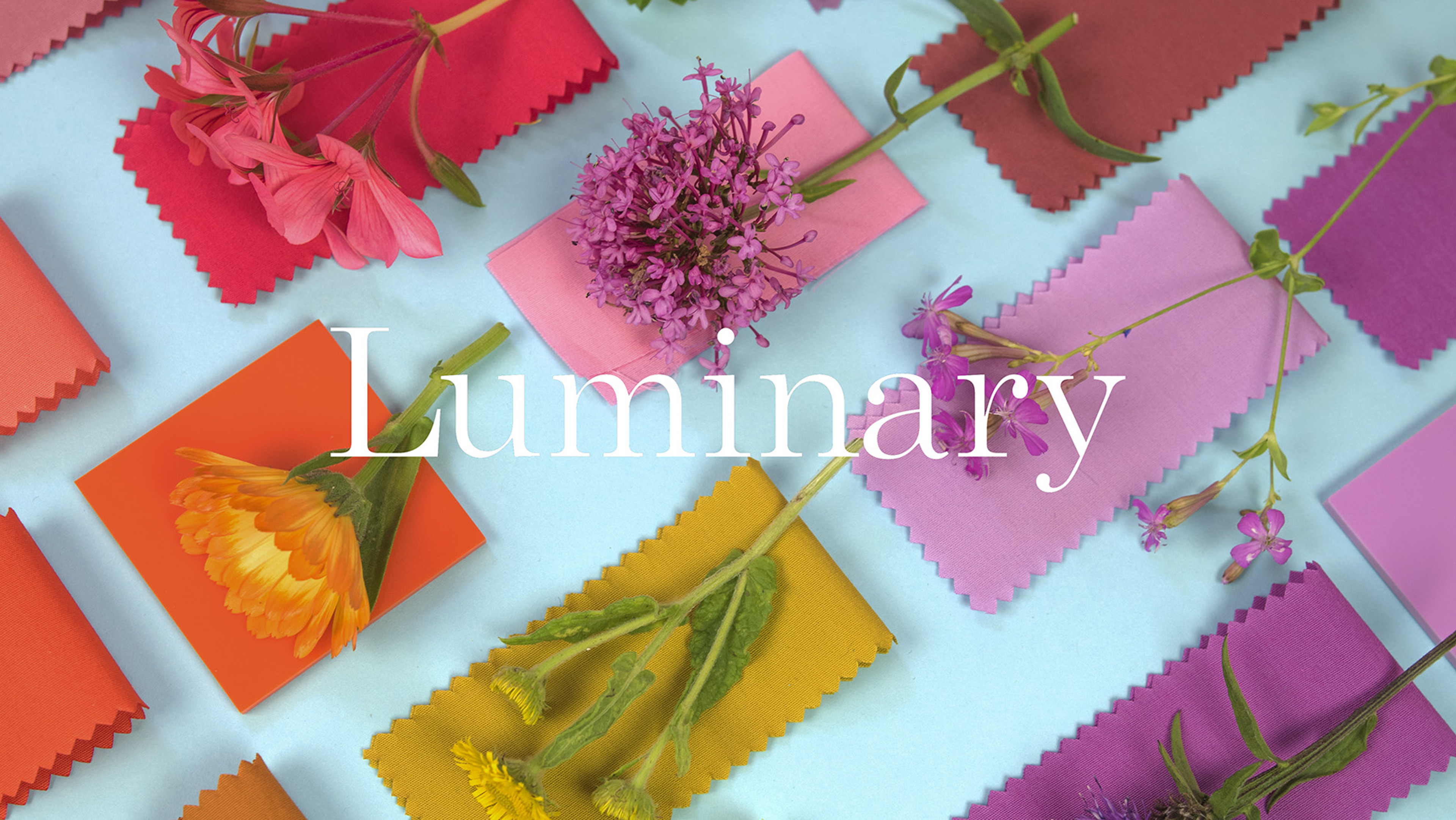 Luminary Logo + Flowers