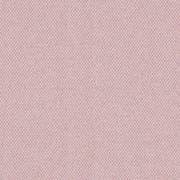 Camira Era Calendar (CSE19)