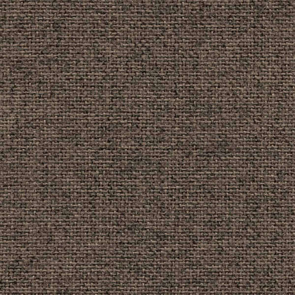Camira Cara Lerwick (EJ194)
