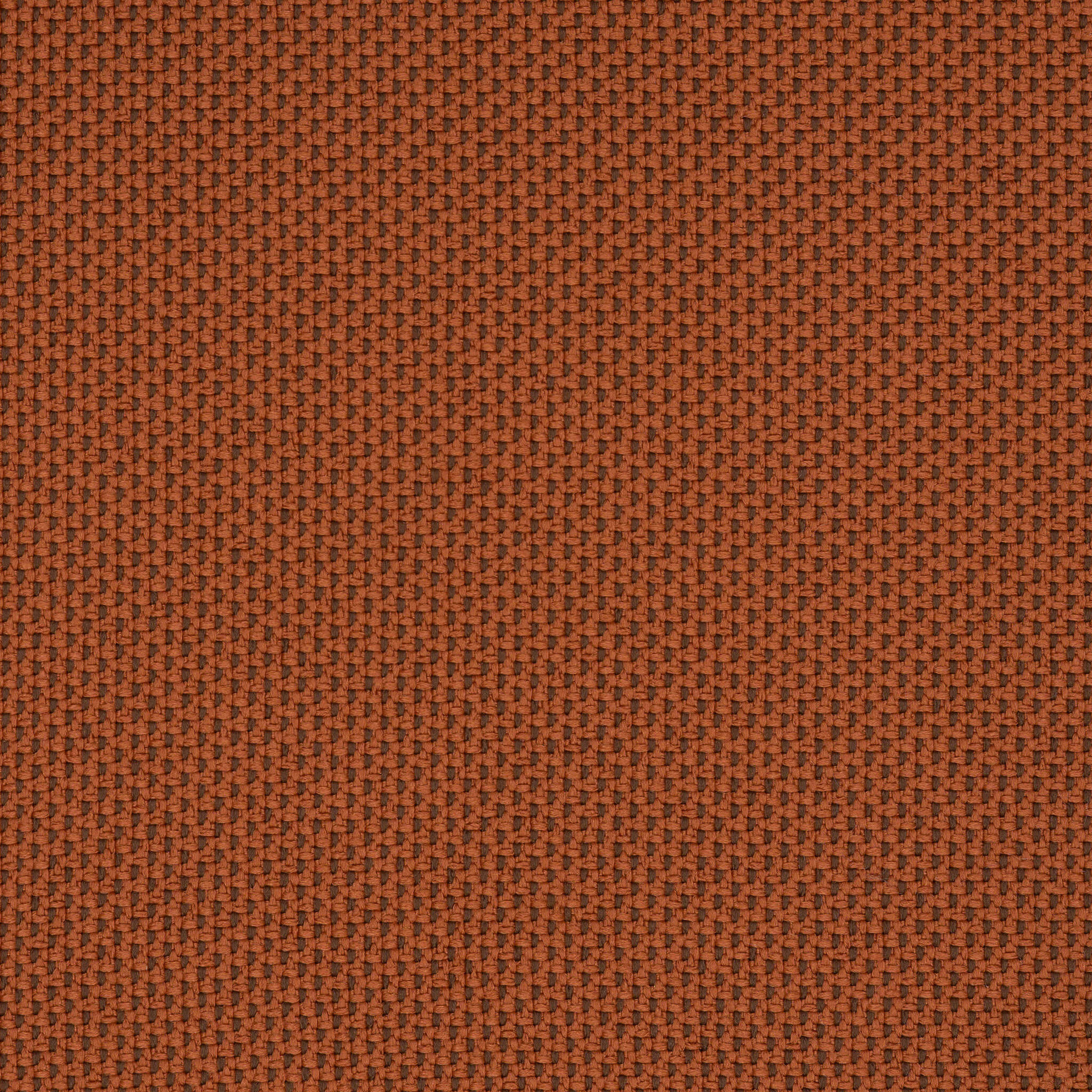 Camira_REP18 Camira_REP18