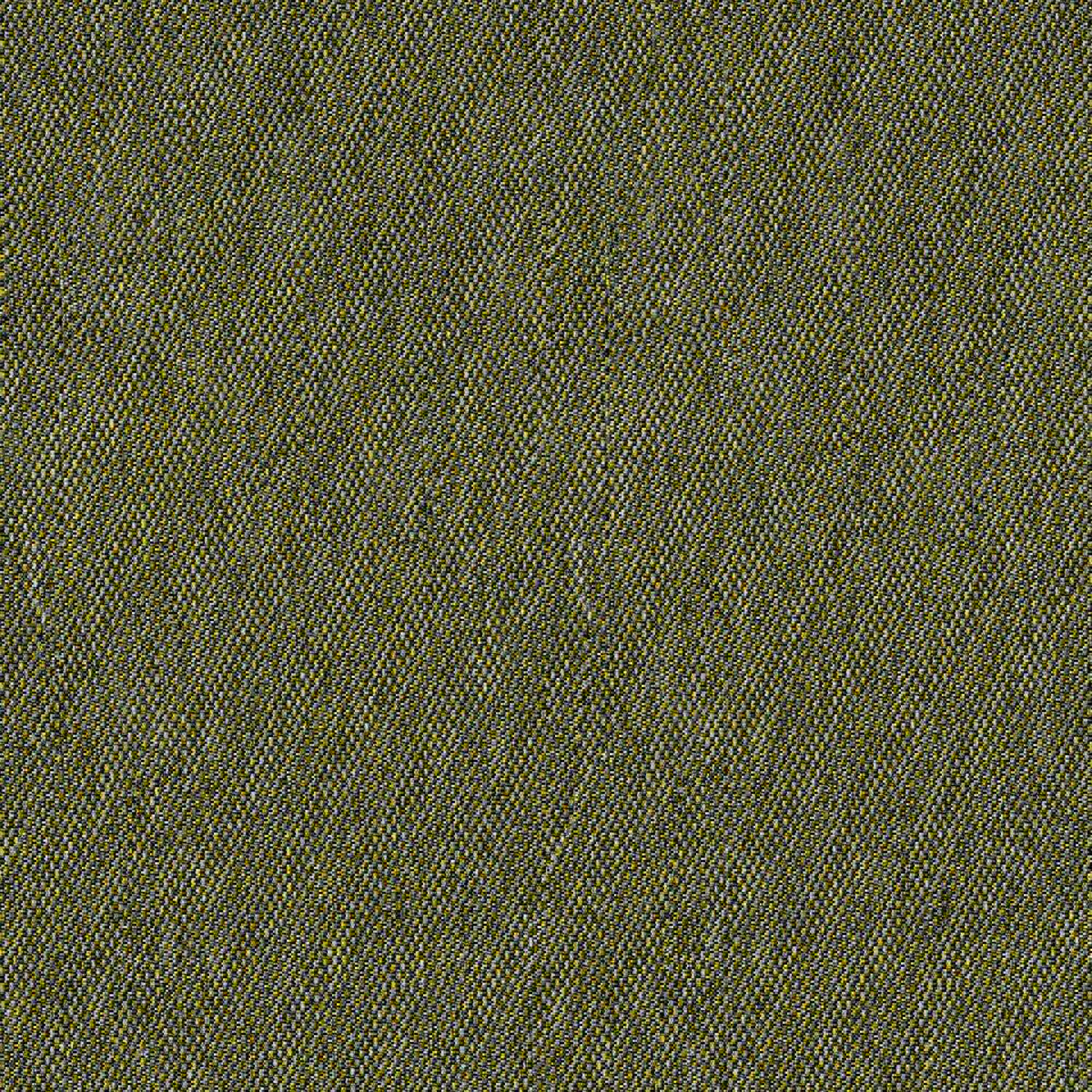 EGL31_WEB