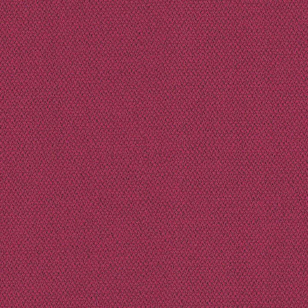 Camira Era Phase (CSE17)