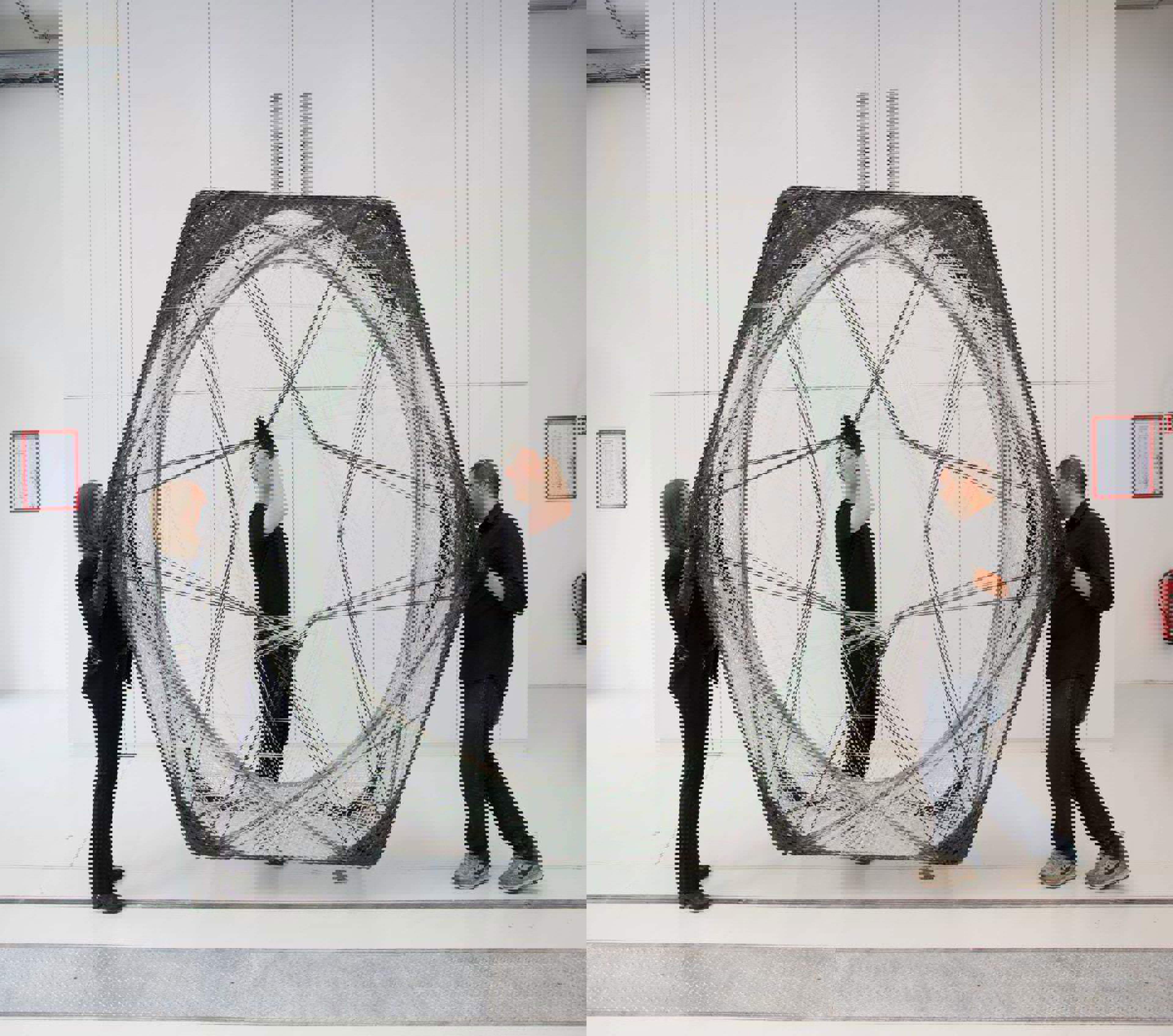 Elytra Filament Pavilion Glass And Carbon Fibre Cell