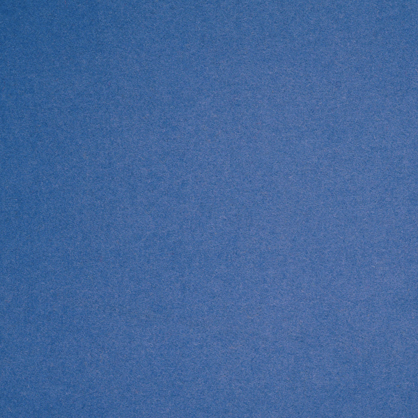 Camira Blazer Manchester (CUZ1V)